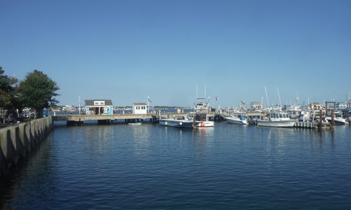 Dock with View of Whale Watch Museum