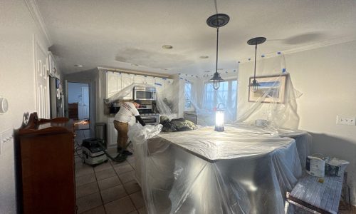 Ceiling Repair & Painting