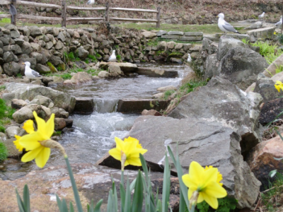 Herring Run