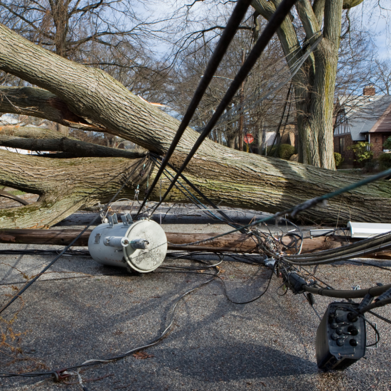 Storm Damage & Repair Services