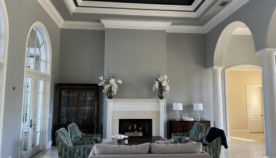 Interior Painting Project