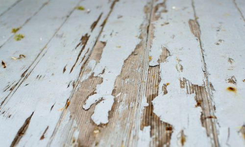 deck staining and painting tampa fl