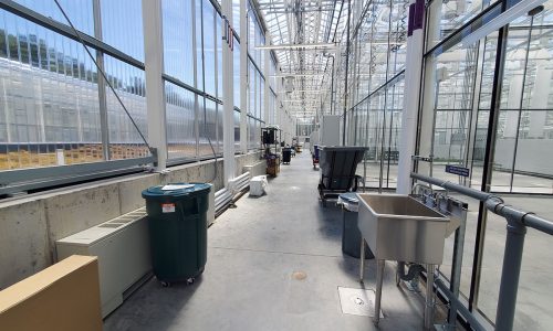 Epoxy Flooring Before