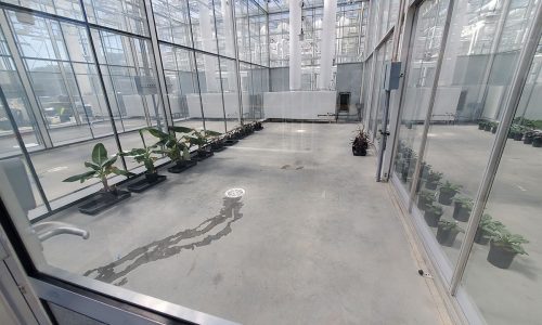 Epoxy Flooring Before