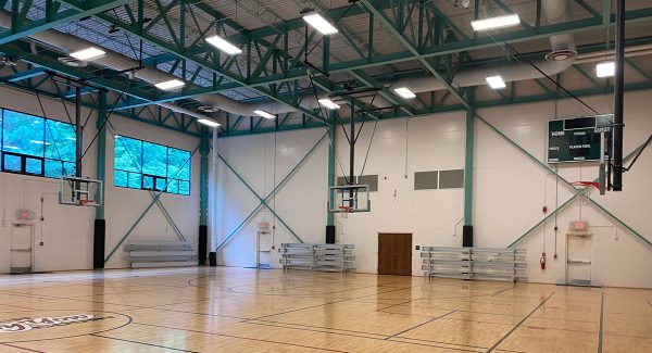 Basketball Court Painting