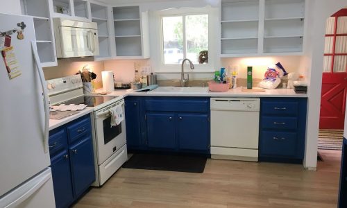 Color Change Kitchen Cabinets