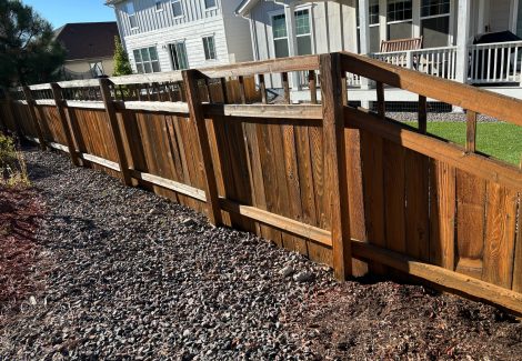 Fence Staining Project in Castle Rock, CO