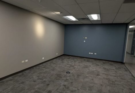 Office Painting Service