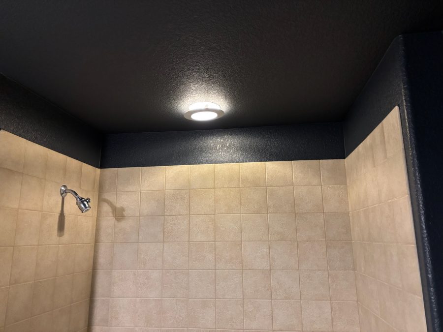 shower with dark painted ceiling Preview Image 3