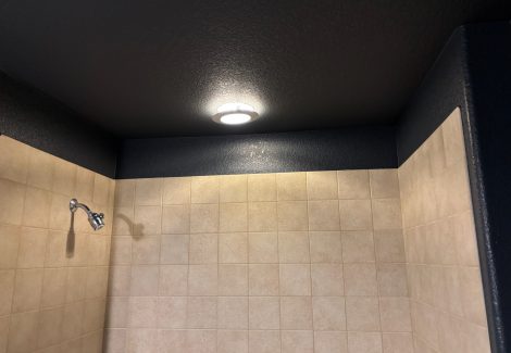 shower with dark painted ceiling