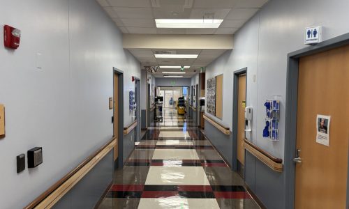 Modern Color Palette in Hallways
