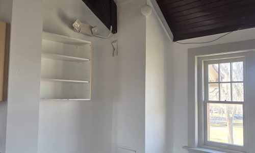 Professional Results