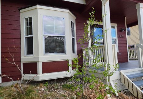 Bold Color Refresh and Paint Restoration