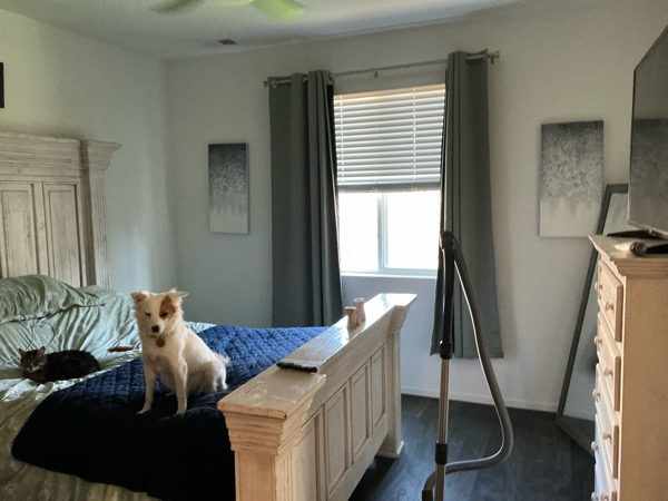 bedroom before repaint Preview Image 5