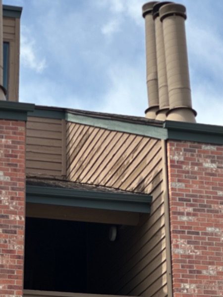 damaged paint on condo exterior Preview Image 14