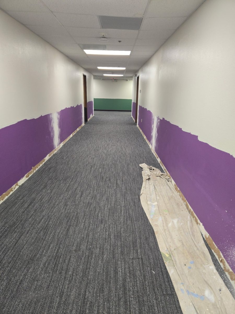 hallway with purple lower section Preview Image 4