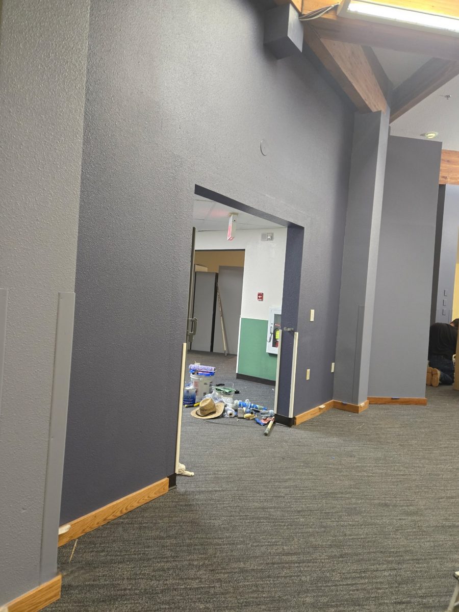 grey interior paibted wall Preview Image 7