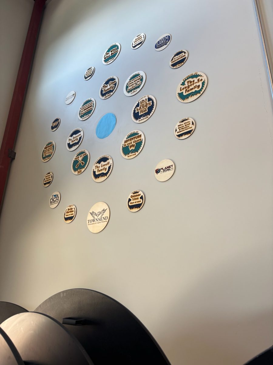 painted wall with family badges arranged in circle pattern Preview Image 4