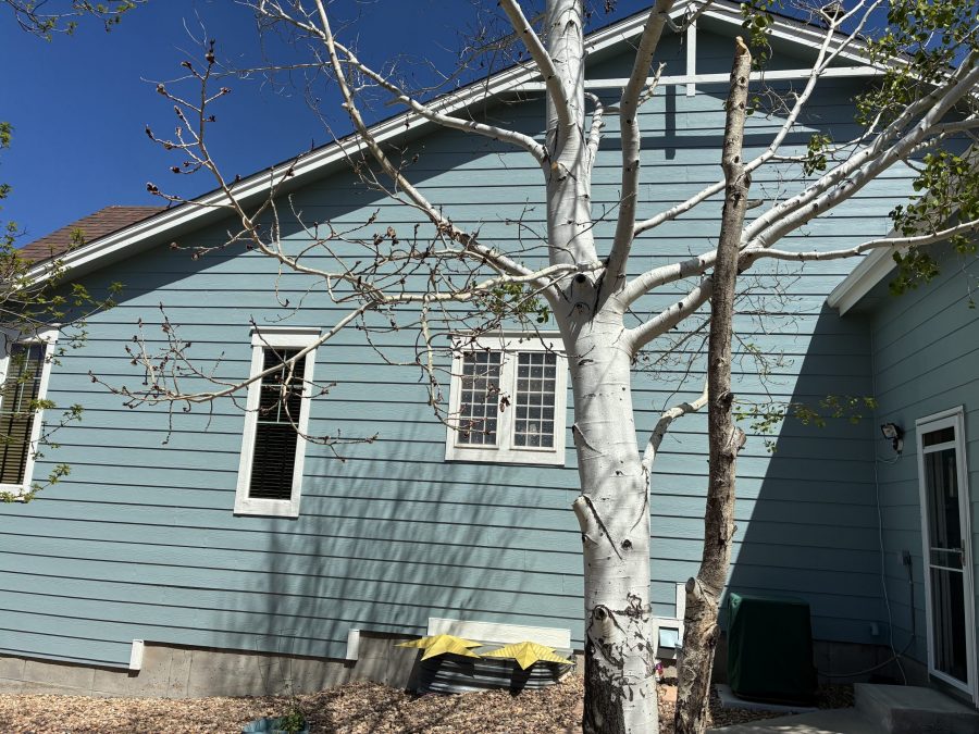 other repainted side Preview Image 4