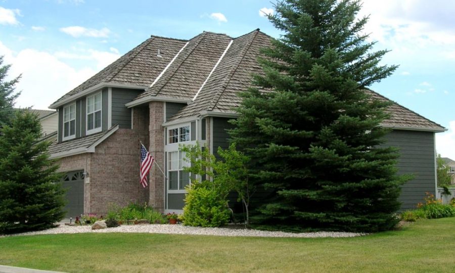 Plum Creek House Painting