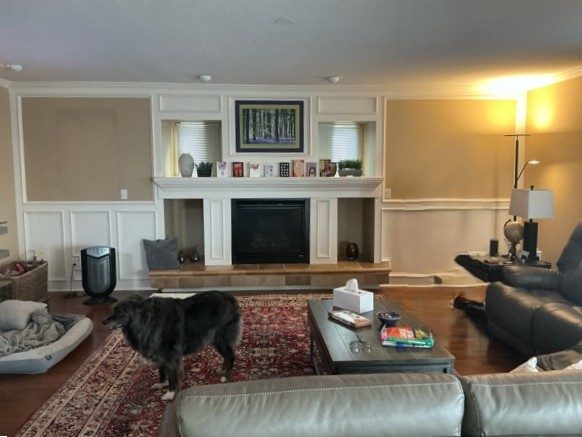 living room with fireplace Preview Image 8