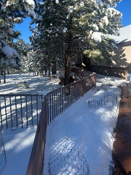 wrought iron fence before repaint Preview Image 6