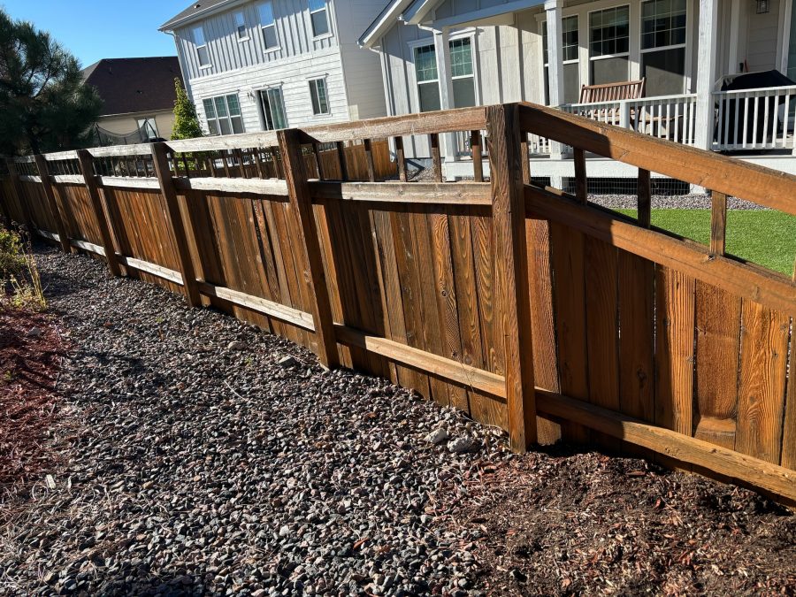 Fence Staining Project in Castle Rock, CO