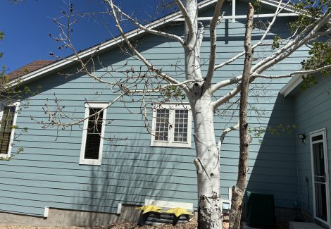 other repainted side