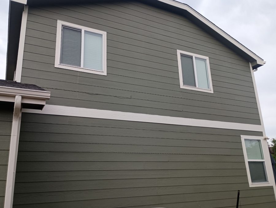 side of house with sage green painted siding Preview Image 1