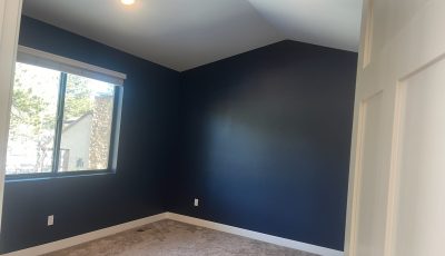 Interior Painting Project