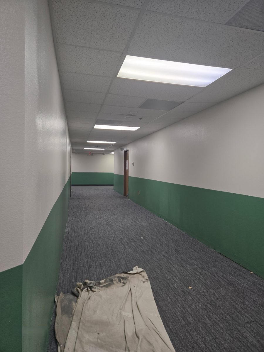 hallway with green painted lower half Preview Image 5