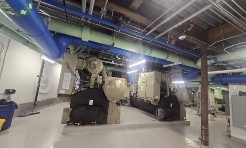 Professional Appearance