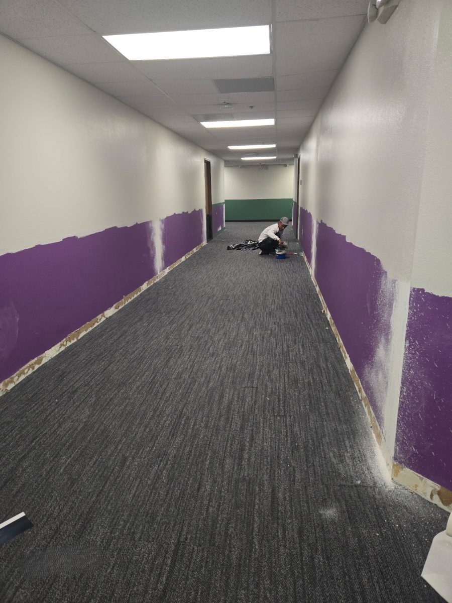 hallway with purple lower section Preview Image 8