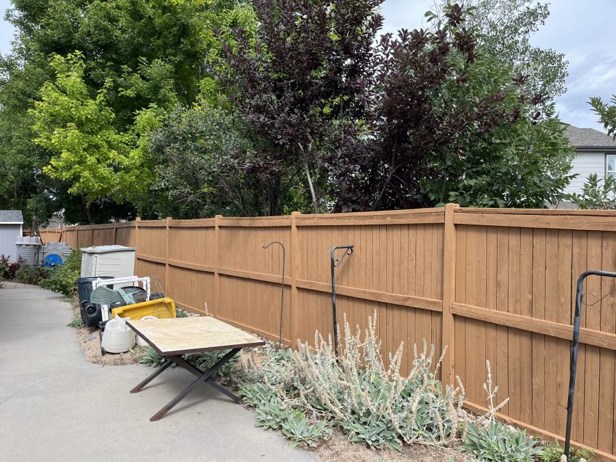 Fence Staining Project in Castle Rock, CO