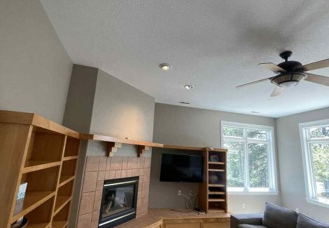 couches in room with fireplace