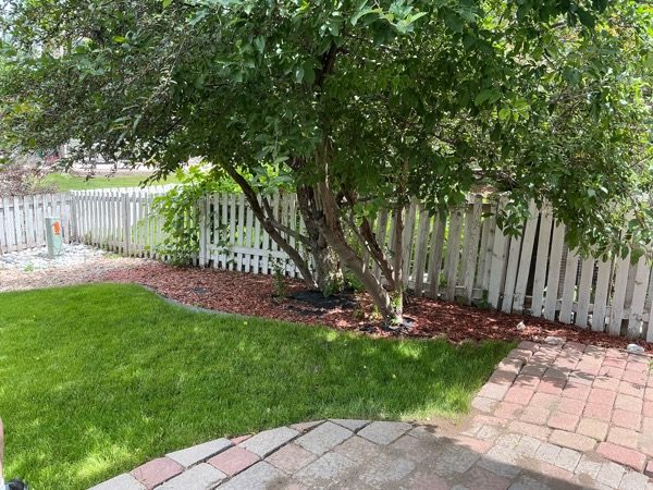 white picket fence with damaged paint Preview Image 6