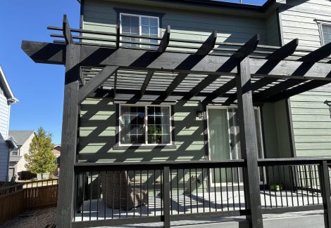 Pergola & Fence Stainging Project