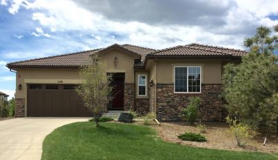 Castle Pines Village House Painting