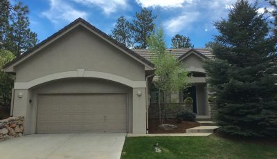 Castle Pines Village House Painting