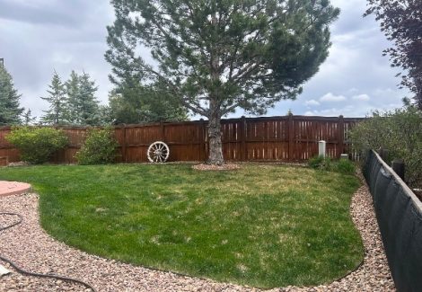 worn wooden fence around yard with a tree