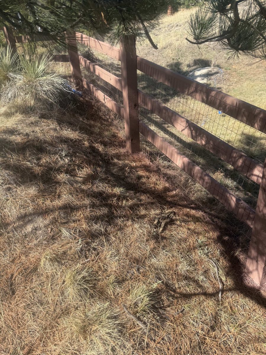 stained split rail fence surrounding residential neighborhood Preview Image 2