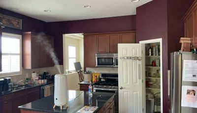 home kitchen with burgundy painted walls