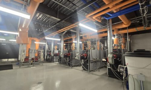 Professional Appearance