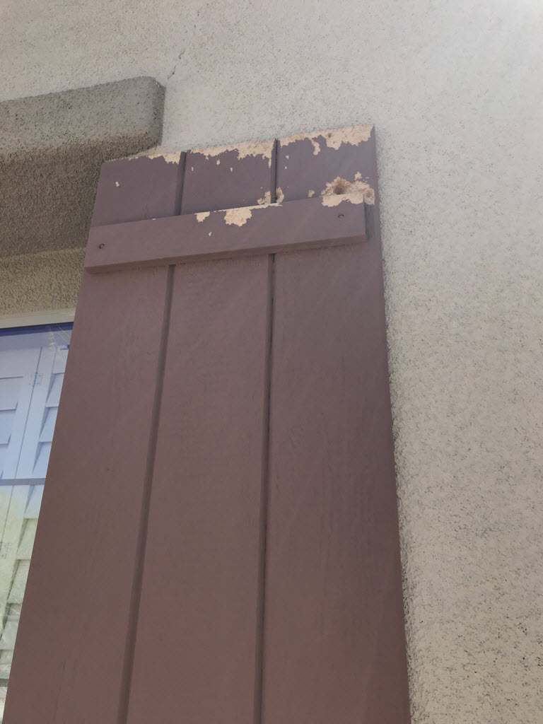 Some Bondo work, sanding, and fresh coats of paint brought this shutter back to life. The Cave Creek homeowners could not be happier with the outcome! 