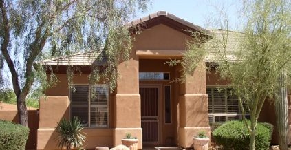 Warm Tones with Cream Contrast