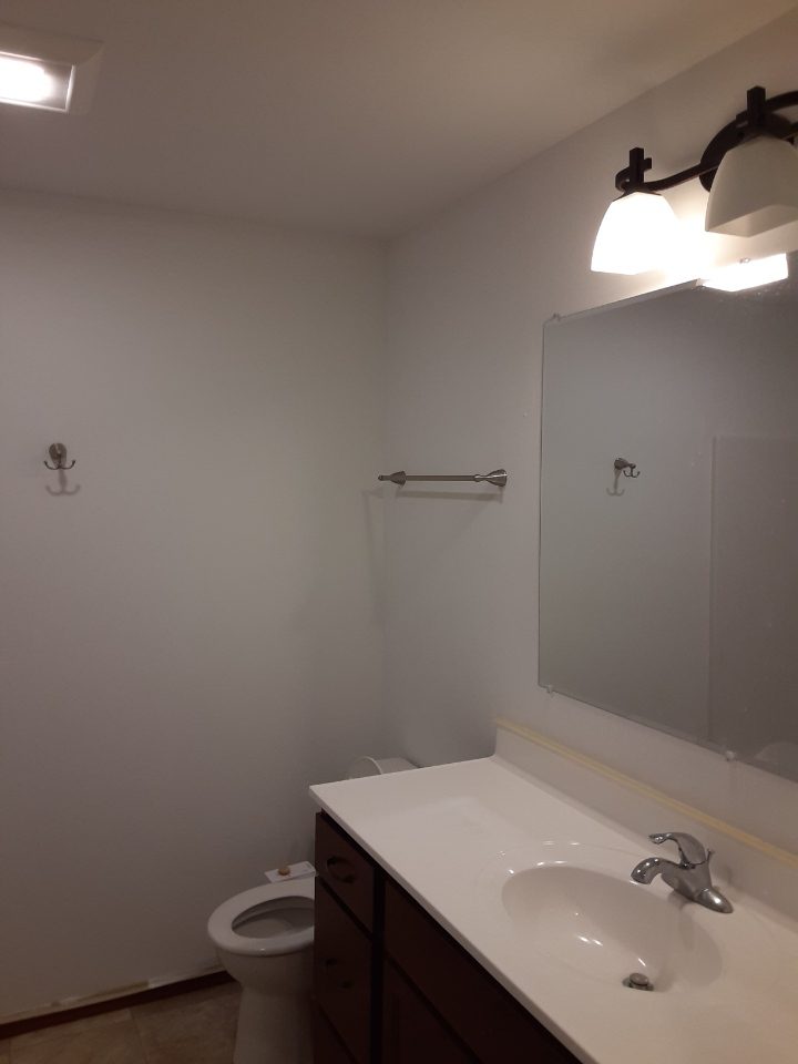 painted bathroom Preview Image 4