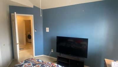 Interior Paint Project