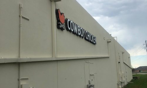 Cowboy Chicken Back View