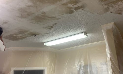 Close up on the Retextured Ceiling