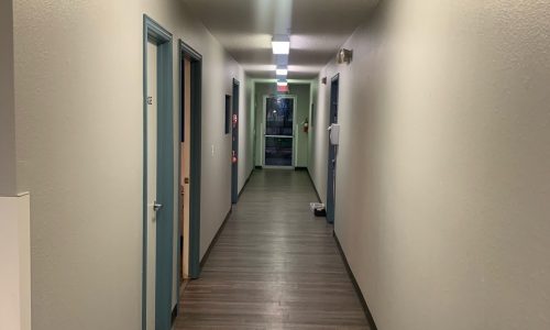 Doors Repainted Light Blue